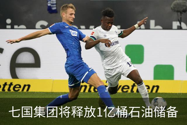七国集团将释放1亿桶石油储备