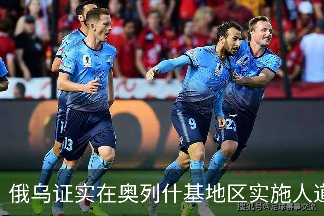 俄乌证实在奥列什基地区实施人道停火