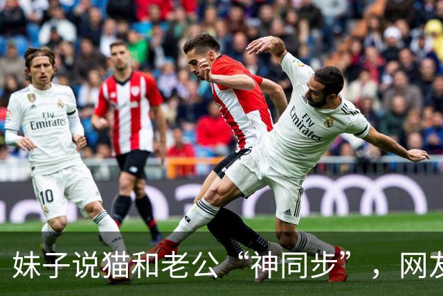妹子说猫和老公“神同步”，网友不信，结果一看：原来猫咪真的会选“师父”！
