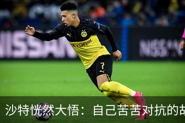 沙特恍然大悟：自己苦苦对抗的胡塞武装，早就跟美划好了红线