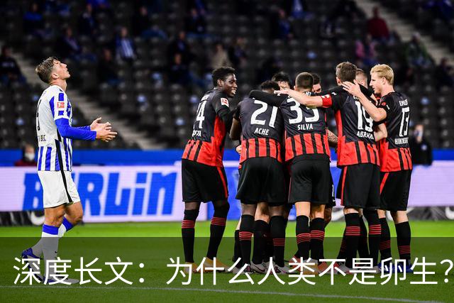 深度长文：为什么人类不是卵生？说出来你可能不信，这事3亿年前就定好了